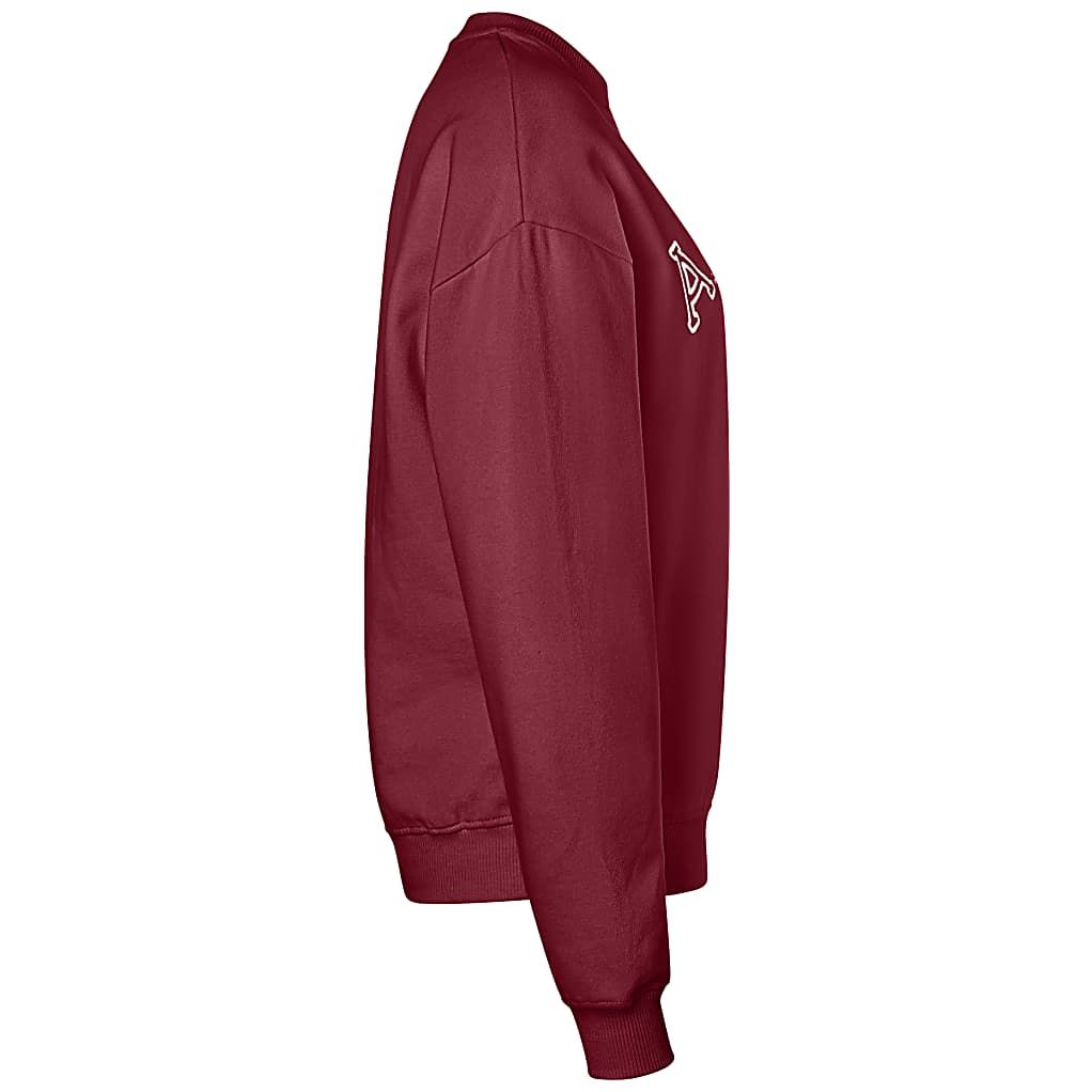 AIGNER SEASONAL SWEATSHIRT UNISEX - ANTIC