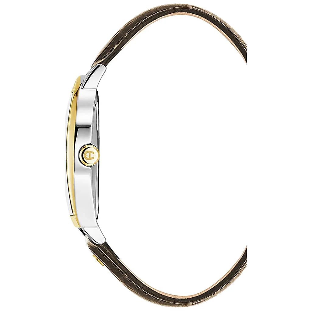 AIGNER HERRENUHR DAIANO GOLD - GRUEN